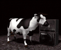 vache ragga sonic